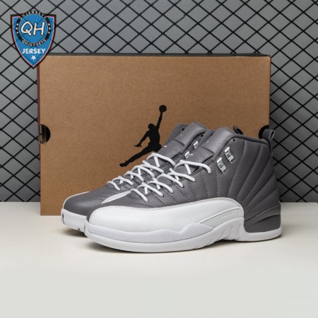 Air Jordan 12 "Stealth" CT8013-015 Men's